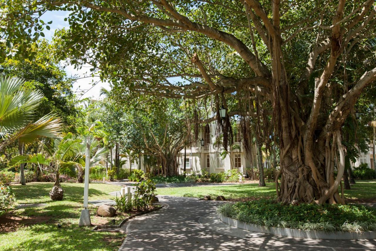 Heritage Le Telfair Golf&Wellness Resort Bel Ombre Exterior foto The Banyan Tree at the University of the South Pacific